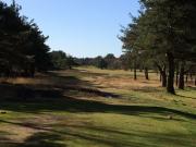 images/Courses/Ferndown/10-ferndown-6th.jpg