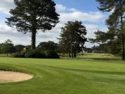 images/Courses/Ferndown/7-ferndown-17th.jpg