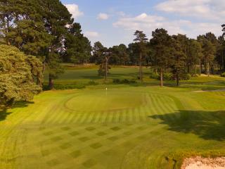 images/Courses/Ferndown/Ferndown-3.jpg