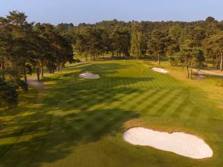 images/Courses/Ferndown/Ferndown-5.jpg