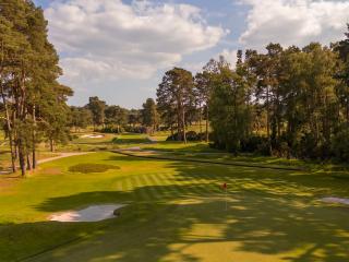 images/Courses/Ferndown/Ferndown-6.jpg