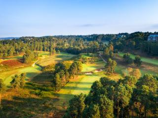 images/Courses/Parkstone/8_161.jpg