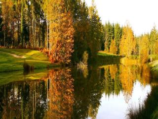 images/Courses/Remedy/7-remedy.jpg